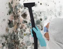 Best Mold Removal for HVAC Installations  in Sharonville, OH